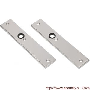 Ami 251/50/8 langschild aluminium blind F1 R6,5/R7,3 - A10900681 - afbeelding 1