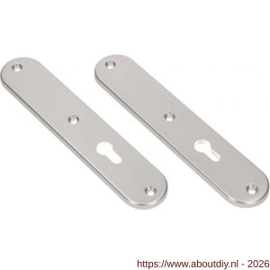 Ami 250/50/8/1 langschild aluminium zonder krukgat profielcilinder PC 72 F1 R6,5/R7,3 - A10900677 - afbeelding 1