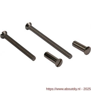 Ami patentbout compleet met huls ijzer vernikkeld M4x45 mm schroef en huls set 10 stuks - A10900204 - afbeelding 1
