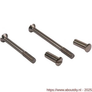 Ami patentbout compleet met huls RVS M5x45 mm schroef en huls RVS set 10 stuks - A10900206 - afbeelding 1