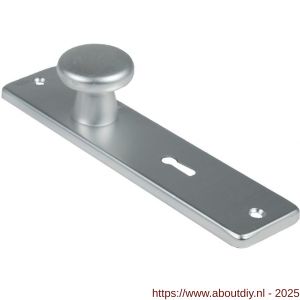 Ami 180/41 RH knopkortschild aluminium rondhoek knop 160/40 vast kortschild 180/41 RH blind F2 - A10900729 - afbeelding 1
