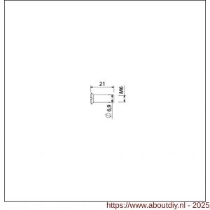 Ami patentbouthuls messing vernikkeld M6x21 mm zaagsnede set 10 stuks - A10900201 - afbeelding 1