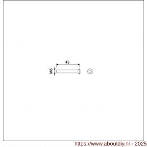 Ami patentschroef met zaagsnede RVS M6x45 mm voldraad set 10 stuks - A10900189 - afbeelding 1