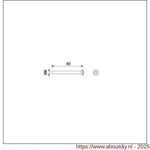 Ami patentschroef met zaagsnede RVS M6x60 mm voldraad set 10 stuks - A10900191 - afbeelding 1