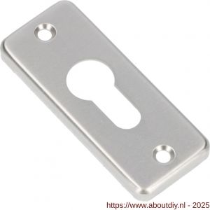 Ami 4 RH cilinderrozet aluminium rechthoek profielcilinder PC F2 - A10900459 - afbeelding 3