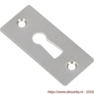Ami 4 vlak sleutelrozet aluminium afdekplaatje sleutelgat F2 - A10900487 - afbeelding 3