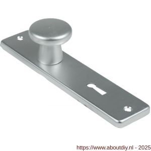 Ami 165/4 RH knopkortschild aluminium rondhoek knop 160/40 vast kortschild 165/4 RH sleutelgat SLG 56 F2 - A10900709 - afbeelding 3