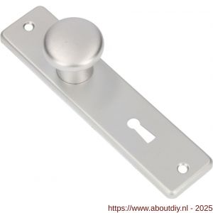Ami 165/4 RH knopkortschild aluminium rondhoek knop 160/40 vast kortschild 165/4 RH sleutelgat SLG 56 F1 - A10900706 - afbeelding 3