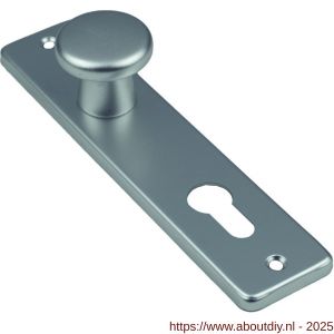 Ami 180/41 RH knopkortschild aluminium rondhoek knop 160/40 vast kortschild 180/41 RH profielcilinder PC 72 F1 - A10900728 - afbeelding 3