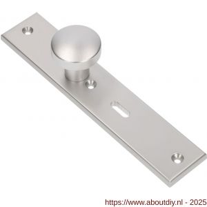 Ami 251/50/8 knoplangschild aluminium knop 169/50 vast langschild 251/50/8 sleutelgat SLG 56 R6,5 F1 - A10900761 - afbeelding 3
