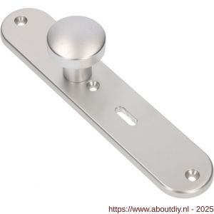 Ami 250/50/8/1 knoplangschild aluminium knop 169/50 vast langschild 250/50/8/1 sleutelgat SLG 56 R6,5 F1 - A10900757 - afbeelding 3