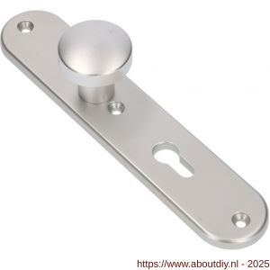 Ami 250/50/8/1 knoplangschild aluminium knop 169/50 vast langschild 250/50/8/1 profielcilinder PC 55 R6,5 F1 - A10900758 - afbeelding 3