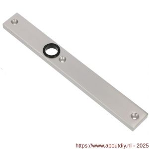 Ami 245/30 smalschild aluminium blind R5,5 F1 - A10900770 - afbeelding 2