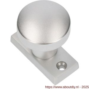 Ami 65/30-169/50 smalrozet knop combinatie knop 169/50 vast 65/30 R6.5 hartafstand 50 mm F1 - A10900414 - afbeelding 3