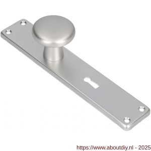 Ami 212/41 RH knoplangschild aluminium knop 160/50 vast langschild 212/41 RH rondhoek sleutelgat SLG 56 F1 - A10900749 - afbeelding 3