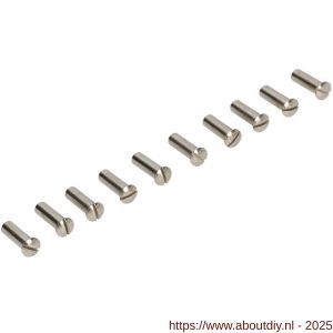 Ami patentbouthuls messing vernikkeld M4x22.5 mm zaagsnede set 10 stuks - A10900196 - afbeelding 3