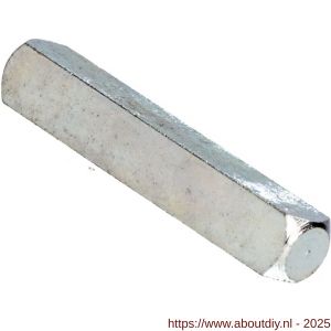 Ami toilet- en badkamersluiting WC stift vierkant 8x55 mm - A10900224 - afbeelding 3