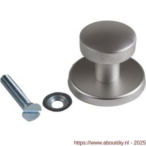Ami 169/50 voordeurknop aluminium F1 - A10900285 - afbeelding 4