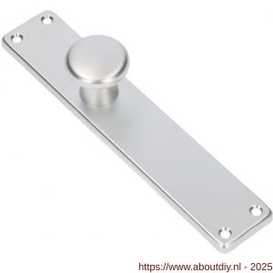 Ami 212/41 RH knoplangschild aluminium knop 160/50 vast langschild 212/41 RH rondhoek blind F1 - A10900748 - afbeelding 4