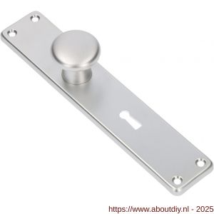 Ami 212/41 RH knoplangschild aluminium knop 160/50 vast langschild 212/41 RH rondhoek sleutelgat SLG 56 F1 - A10900749 - afbeelding 4