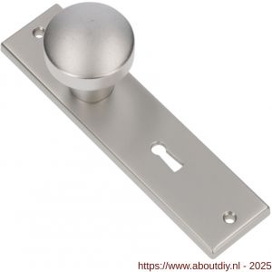 Ami 178/43 knopkortschild aluminium knop 169/50 vast kortschild 178/43 sleutelgat SLG 72 F1 - A10900722 - afbeelding 4