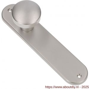 Ami 200/1/7 knoplangschild aluminium knop 169/50 vast langschild 200/1/7 blind F1 - A10900743 - afbeelding 4