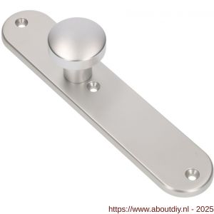 Ami 250/50/8/1 knoplangschild aluminium knop 169/50 vast langschild 250/50/1/8 blind R6,5 F1 - A10900756 - afbeelding 5
