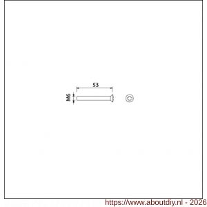 Ami deurbeslag patentschroef met zaagsnede RVS M6x53 mm voldraad set 10 stuks - A10900190 - afbeelding 2