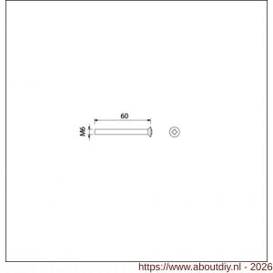 Ami deurbeslag patentschroef met zaagsnede RVS M6x60 mm voldraad set 10 stuks - A10900191 - afbeelding 2