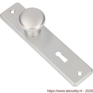 Ami 165/4 RH knopkortschild aluminium rondhoek knop 160/40 vast kortschild 165/4 RH sleutelgat SLG 56 F1 - A10900706 - afbeelding 1