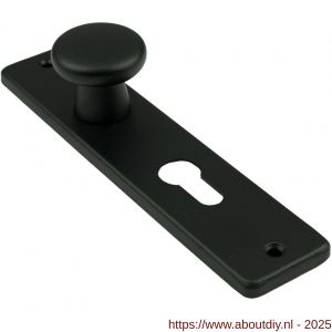 Ami 180/41 RH knopkortschild aluminium rondhoek knop 160/40 vast kortschild 180/41 RH profielcilinder PC 55 zwart RAL 9005 structuur finish - A10900735 - afbeelding 5