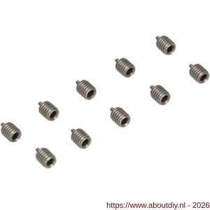 Ami deurbeslag Quickpuntschroef M6 verpakt per 10 stuks - A10900173 - afbeelding 1