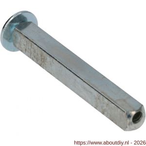 Ami wisselquickstift met aanslag 8x66 mm deurdikte 38-42 mm - A10900260 - afbeelding 1