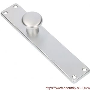 Ami 212/41 RH knoplangschild aluminium knop 160/50 vast langschild 212/41 RH rondhoek blind F2 - A10900753 - afbeelding 1
