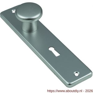 Ami 180/41 RH knopkortschild aluminium rondhoek knop 160/40 vast kortschild 180/41 RH sleutelgat SLG 56 F2 - A10900730 - afbeelding 1