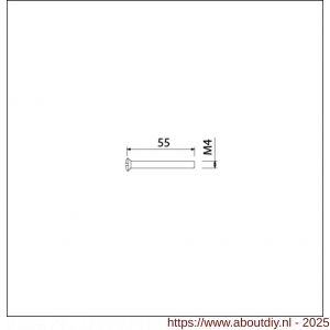 Ami patentschroef met zaagsnede ijzer vernikkeld M4x55 mm voldraad set 10 stuks - A10900177 - afbeelding 3