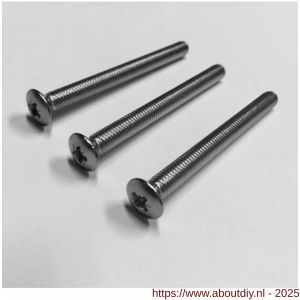 Ami patentschroef met zaagsnede RVS M6x45 mm voldraad set 10 stuks - A10900189 - afbeelding 4