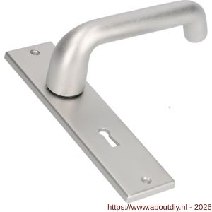 Ami KS 178/43-386 kruk-kruk garnituur deurkruk 386 Rota kortschild 178/43 sleutelgat SLG 56 F1 - A10900118 - afbeelding 1