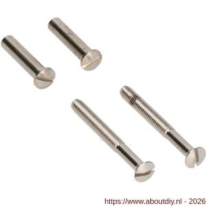 Ami deurbeslag patentbout compleet met huls ijzer vernikkeld M4x45 mm schroef en huls set 10 stuks - A10900204 - afbeelding 1