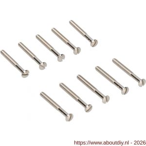 Ami deurbeslag patentschroef met zaagsnede ijzer vernikkeld M4x45 mm voldraad set 10 stuks - A10900176 - afbeelding 1