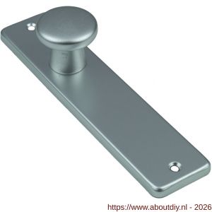 Ami 165/4 RH knopkortschild aluminium rondhoek knop 160/40 vast kortschild 165/4 RH blind F2 - A10900708 - afbeelding 1