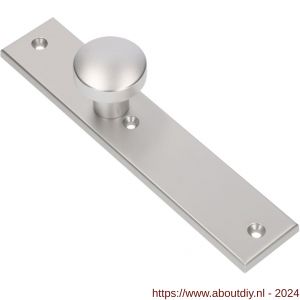 Ami 251/50/8 knoplangschild aluminium knop 169/50 vast langschild 251/50/8 blind R6,5 F1 - A10900760 - afbeelding 1