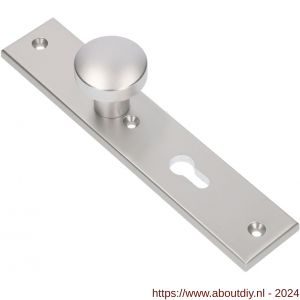 Ami 251/50/8 knoplangschild aluminium knop 169/50 vast langschild 251/50/8 PC 72 R6,5 F1 - A10900763 - afbeelding 1