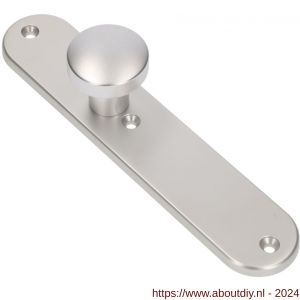Ami 250/50/8/1 knoplangschild aluminium knop 169/50 vast langschild 250/50/1/8 blind R6,5 F1 - A10900756 - afbeelding 1