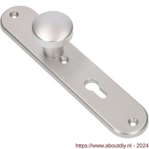 Ami 250/50/8/1 knoplangschild aluminium knop 169/50 vast langschild 250/50/8/1 PC 72 R6,5 F1 - A10900759 - afbeelding 1