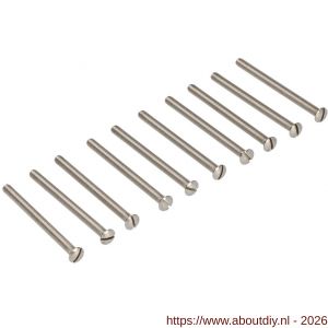 Ami deurbeslag patentschroef met zaagsnede RVS M5x52 mm voldraad set 10 stuks - A10900178 - afbeelding 1