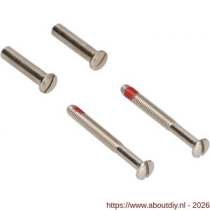 Ami deurbeslag patentbout compleet met huls ijzer vernikkeld M4x55 mm schroef en borging set 2 stuks - A10901770 - afbeelding 1