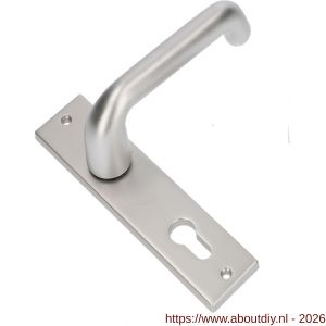 Ami KS 178/43-386 kruk-kruk garnituur deurkruk 386 Rota kortschild 178/43 profielcilinder PC 55 F1 - A10900119 - afbeelding 1