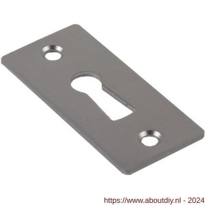 Ami 4 Vlak sleutelrozet aluminium afdekplaatje sleutelgat F2 - A10900487 - afbeelding 1