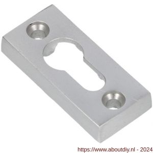 Ami 65/30 smalrozet aluminium gegoten blind R6.5 hartafstand 43 mm F1 - A10900488 - afbeelding 1